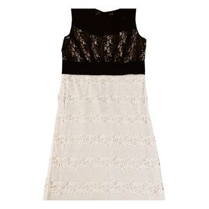 Petite Black & Cream Lace Dress